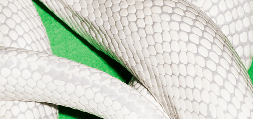 Portada de Private Music de Deftones