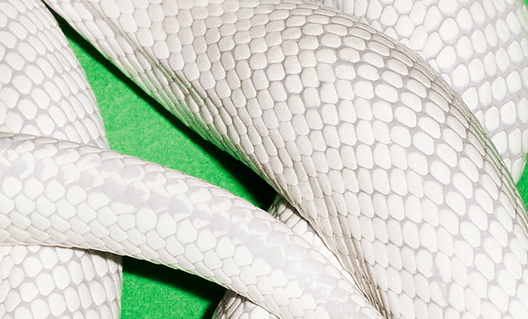 Portada de Private Music de Deftones